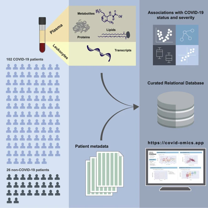 Graphical abstract. Plasma and leukocytes from 102 COVID-19 patients and 26 non-COVID-19 patients were measured for metabolites, lipids, proteins and transcripts. With patient metadata they form a curated relational database, explored through the covid-omics.app website for associations with COVID-19 status and severity.