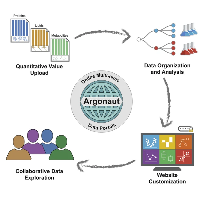 Graphical abstract. A cycle around the Argonaut logo: protein, lipid and metabolite measurements are uploaded, the data are organized and analysed, a website is customized, and collaborators explore the data together.