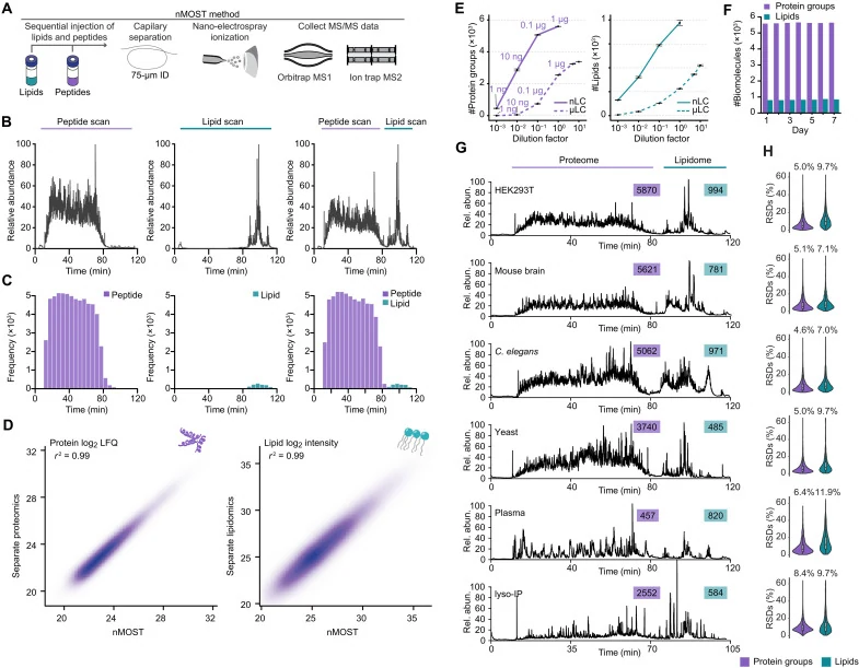 Figure 1 of the paper. The nMOST method injects lipids and peptides one after the other on one column and records both in one run. Panels show chromatograms, retention-time distributions, agreement with separate proteomics and lipidomics, a dilution series, and protein and lipid counts for six sample types.